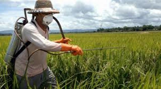 noticia_img_sindicato-de-vicente-dutra-promove-curso-sobre-defensivos-agricolas59847ea2dc6c9